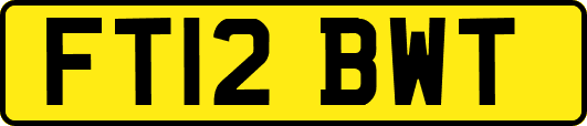FT12BWT