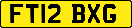 FT12BXG