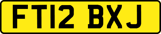 FT12BXJ