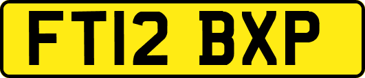 FT12BXP
