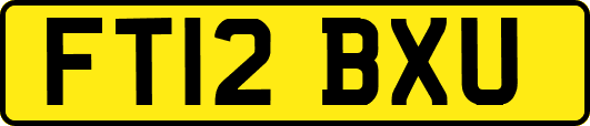 FT12BXU