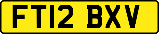FT12BXV