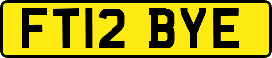 FT12BYE