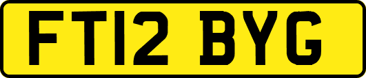 FT12BYG