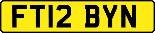 FT12BYN