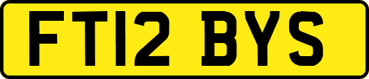 FT12BYS