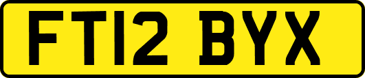 FT12BYX