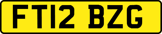 FT12BZG