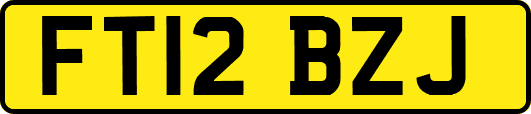 FT12BZJ