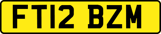FT12BZM