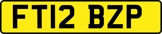 FT12BZP