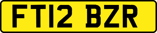 FT12BZR