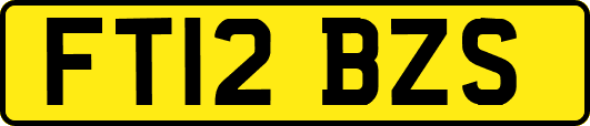 FT12BZS