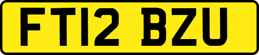 FT12BZU