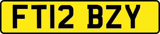 FT12BZY