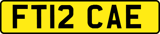 FT12CAE