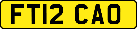 FT12CAO