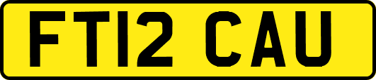 FT12CAU