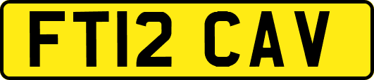 FT12CAV
