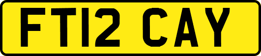 FT12CAY