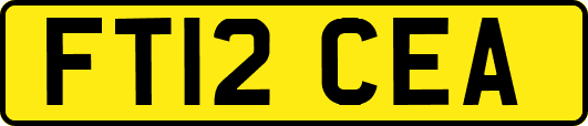 FT12CEA