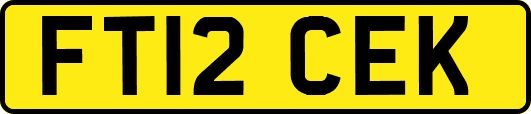 FT12CEK