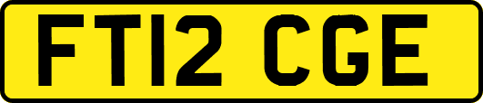 FT12CGE