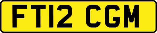 FT12CGM
