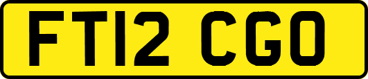 FT12CGO
