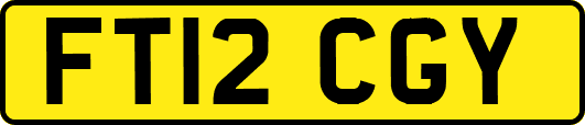 FT12CGY