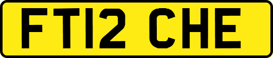 FT12CHE