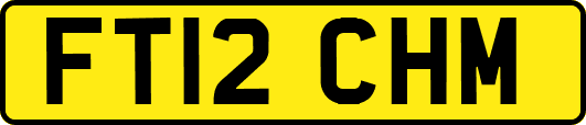 FT12CHM