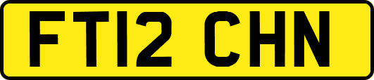 FT12CHN
