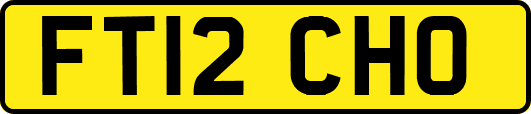 FT12CHO