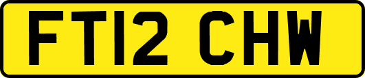 FT12CHW