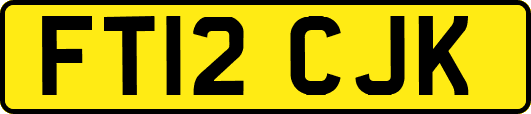 FT12CJK