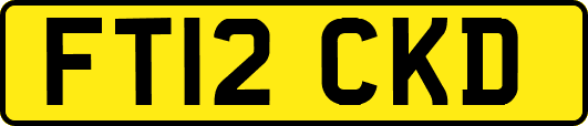 FT12CKD