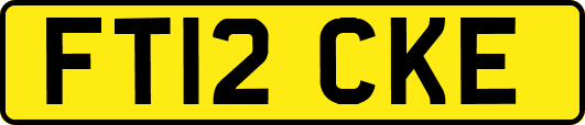 FT12CKE