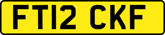 FT12CKF