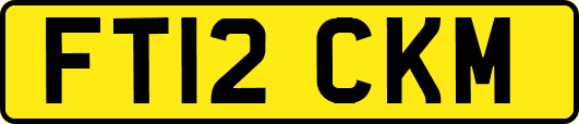 FT12CKM