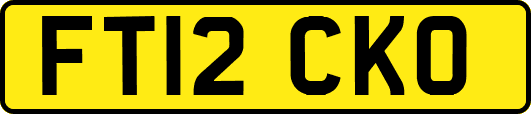 FT12CKO