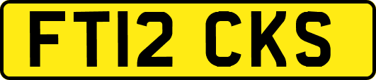 FT12CKS