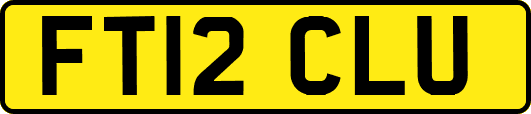 FT12CLU