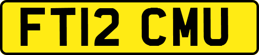 FT12CMU