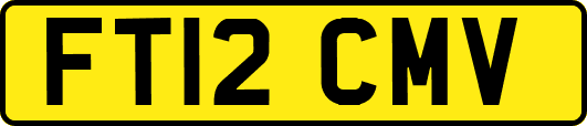 FT12CMV
