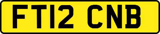 FT12CNB