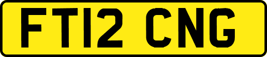 FT12CNG