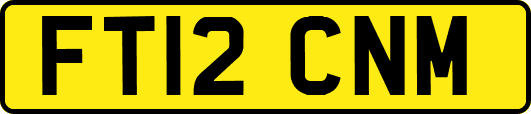 FT12CNM