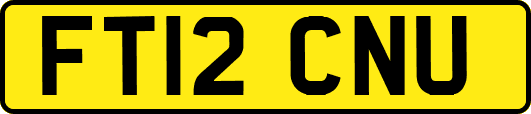 FT12CNU