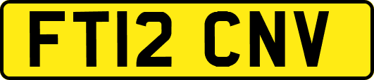FT12CNV